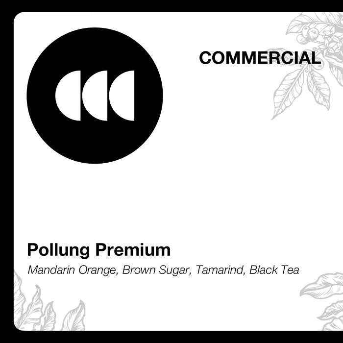 

ARABICA SUMATRA POLLUNG (GREEN BEAN)