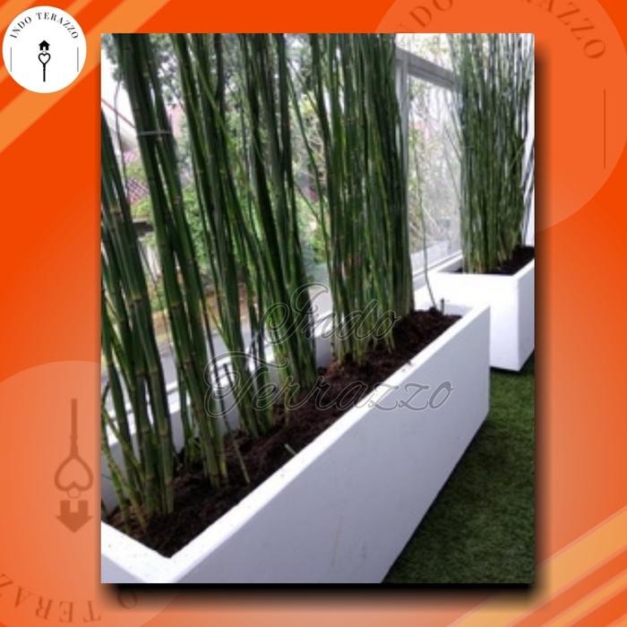 Indo Terazzo Pot Panjang Semen Putih Pot Tanaman Pot Bunga