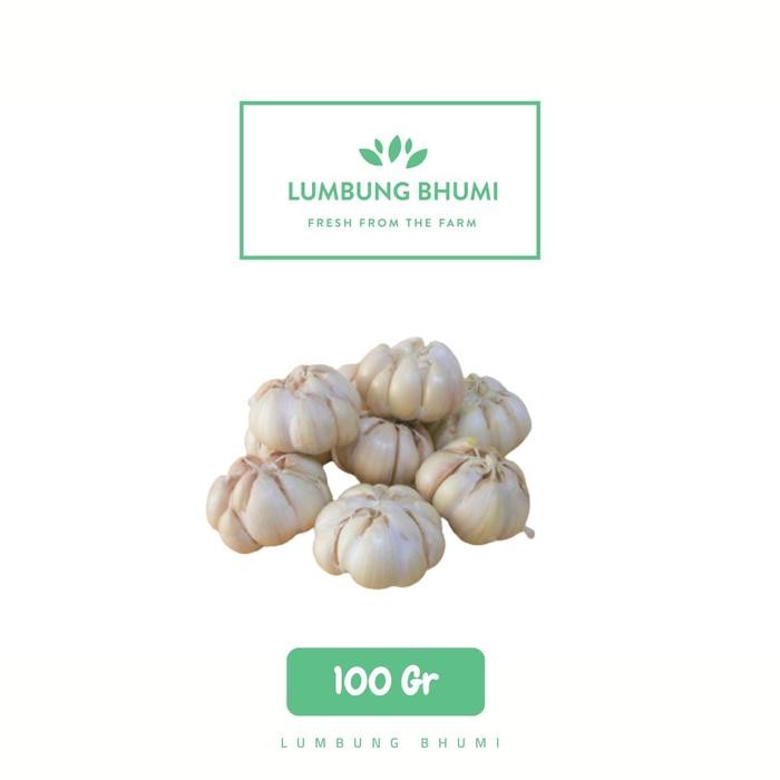 

New Bawang Putih Bersih HONAN Sayur - Lumbung Bhumi