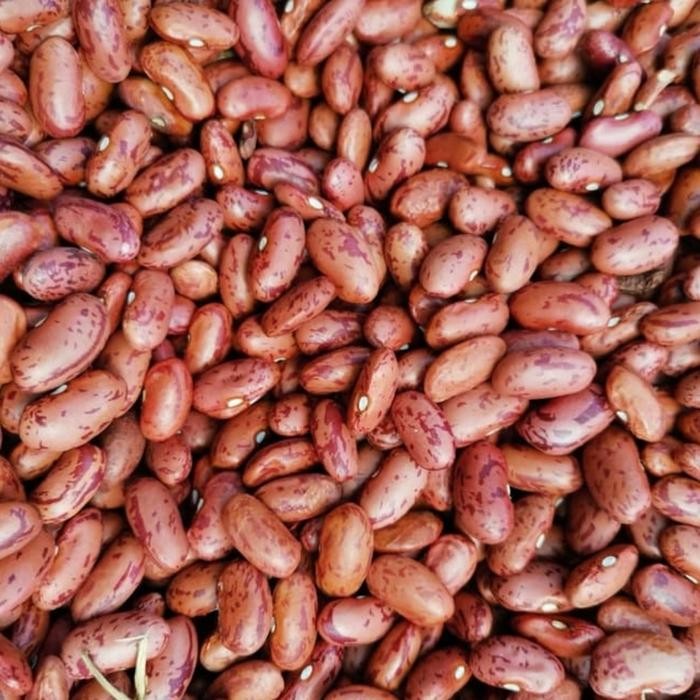 

Ready Kacang Merah Fresh