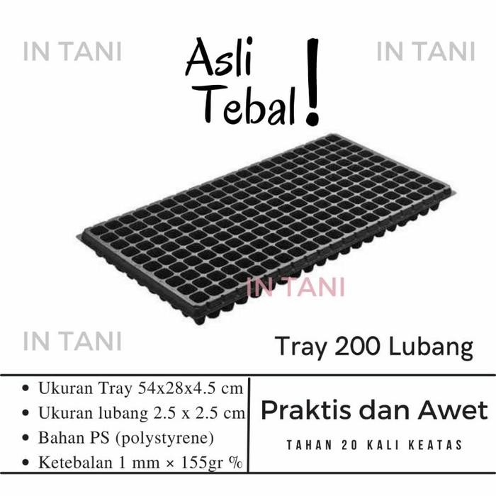 [Expert] Tray Semai 200 Lubang Tebal dan Bagus