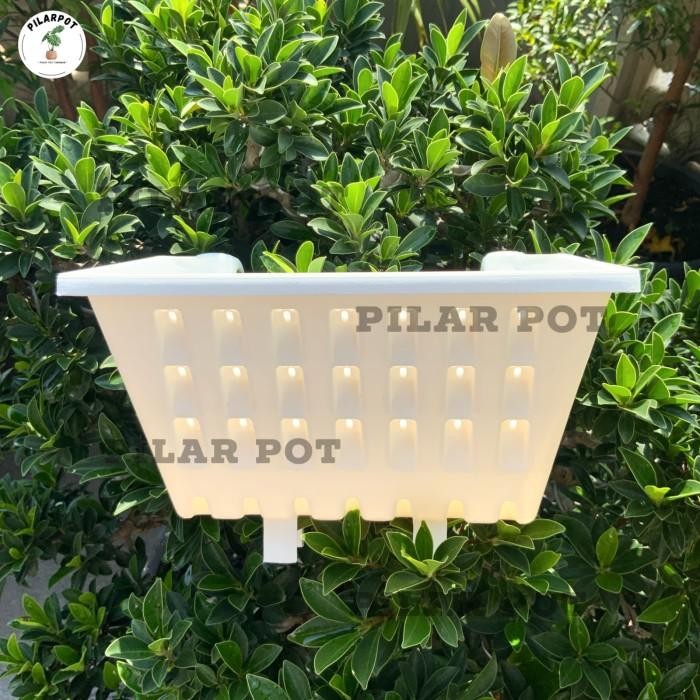 [Expert] pot tempel atau ARGO putih