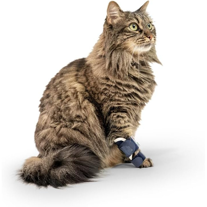 Splint Carpal Hyperextension Dog Brace ,Supports Fractures and Sprains, Front Leg Support (Small)