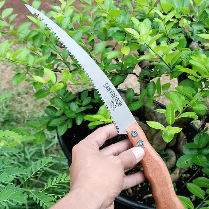 GERGAJI BONSAI BAHAN BAJA HSS 34 CM GERGAJI SELENDANG alat berkebun
