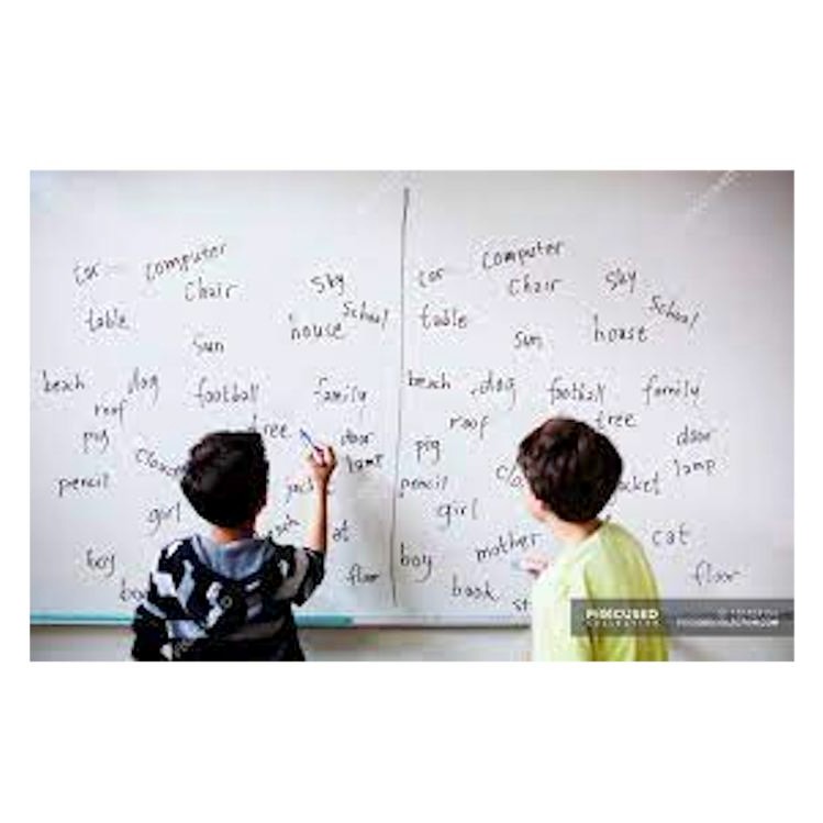 

FLASH SALE WHITEBOARD MINI MAGNETIC SAKANA ECOSAVE 20X30 CM PAPAN TULIS MAGNET 20 X 30