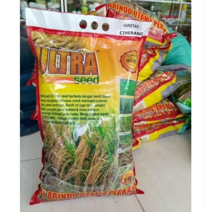 BENIH PADI UNGGUL INPARI 30 42 32 ALINDO 5 kg ULTRA SEED 5 KG Daun Kuning Tanaman