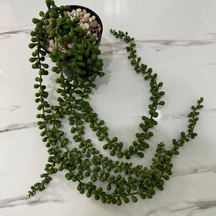 ern TANAMAN SUKULEN JUNTAI PALSU POT 10CM Latex Plastik