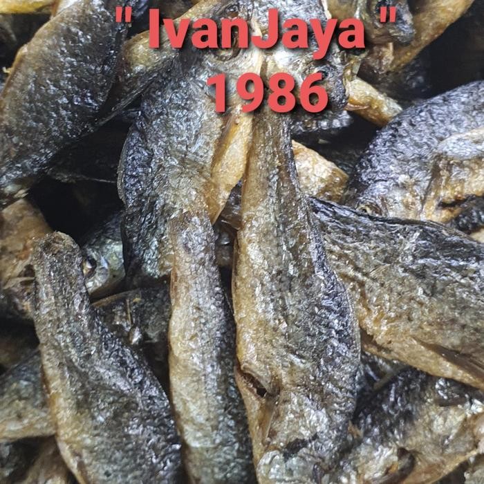 

Ikan Bilih Danau Singkarak / Tawar Padang Besar 1000gram