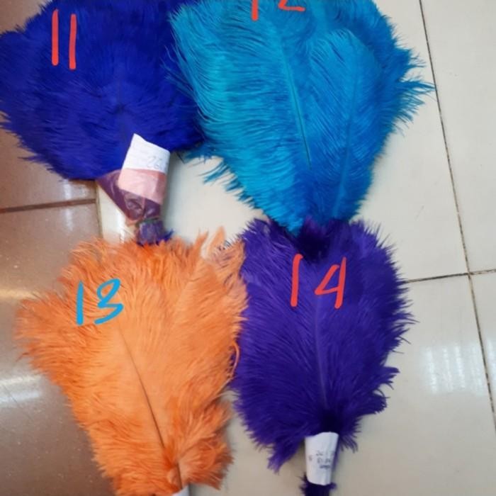 

(Expert) Bulu Kasuari Pendek 26-30