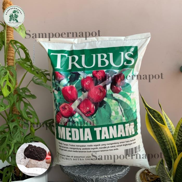 MEDIA TANAM ORGANIK TRUBUS KEMASAN PABRIK SIAP PAKAI UNTUK TANAMAN - MEDIA TANAM TRUBUS