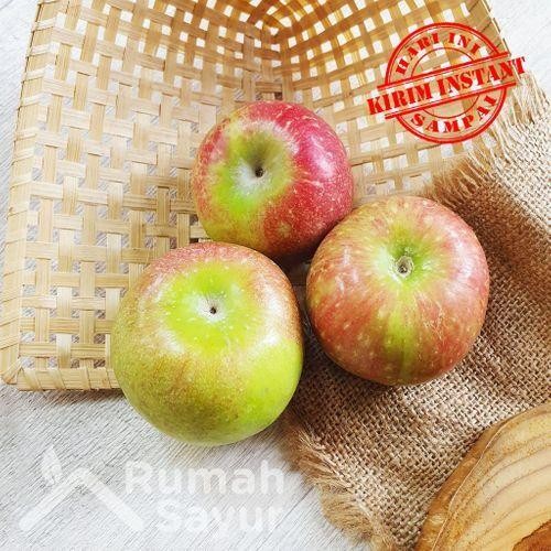 

Glx Rumah Sayur Apel Malang [500 gram]