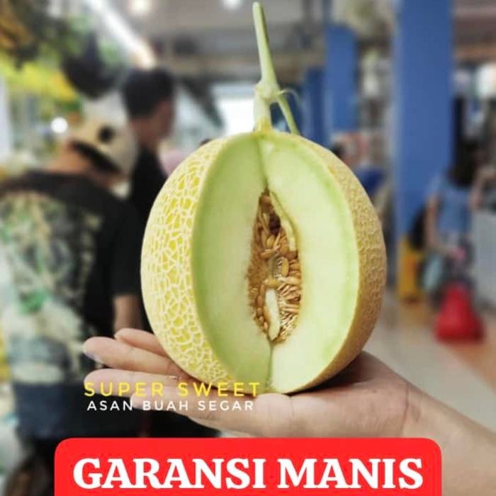 

Glx Buah melon madu melon baby blonde - 1 buah