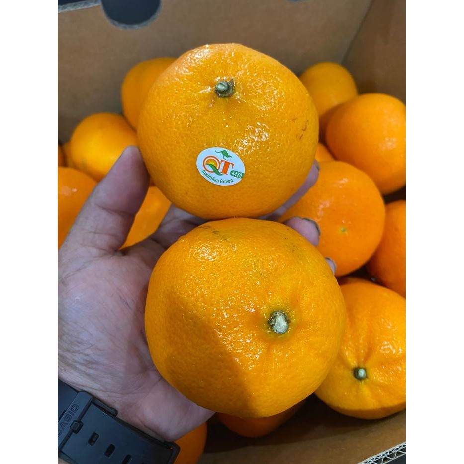 

Glx JERUK MURCOT HONEY. AUSI. MANIS ASAM SEGAR ENAK MURAH IMPORT FRESH