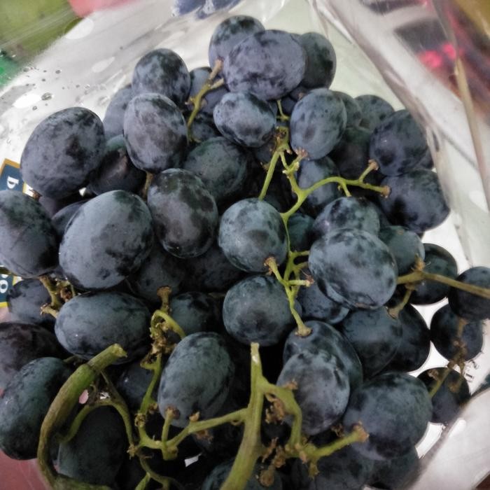 

Glx Anggur Autumn Australia manis/1kg