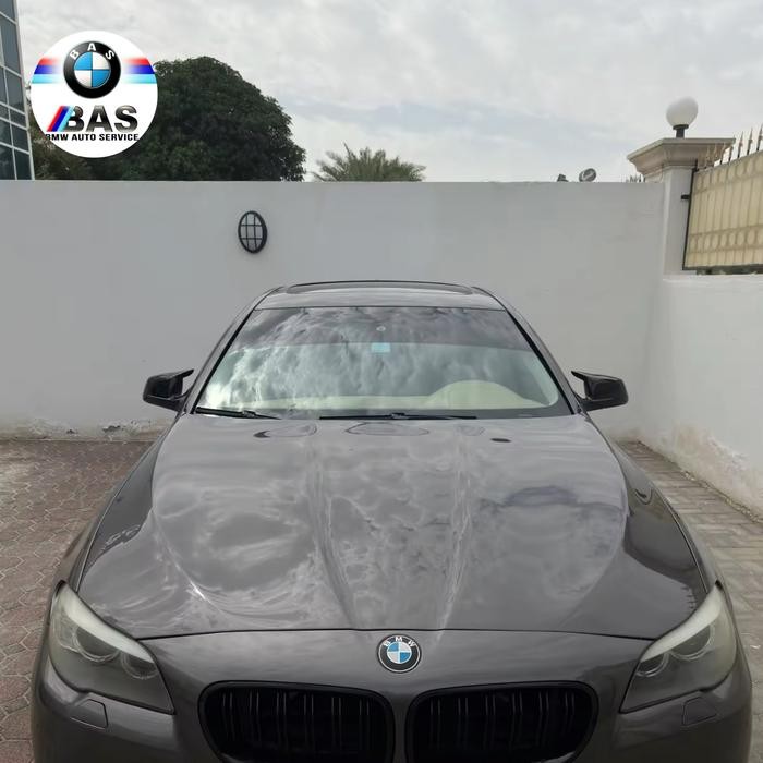 Cover Spion Carbon F10 Non Lci