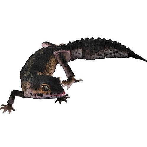 Ikimono Leopard Gecko figure Bandai tangerine black knight albino snow - Black Knight