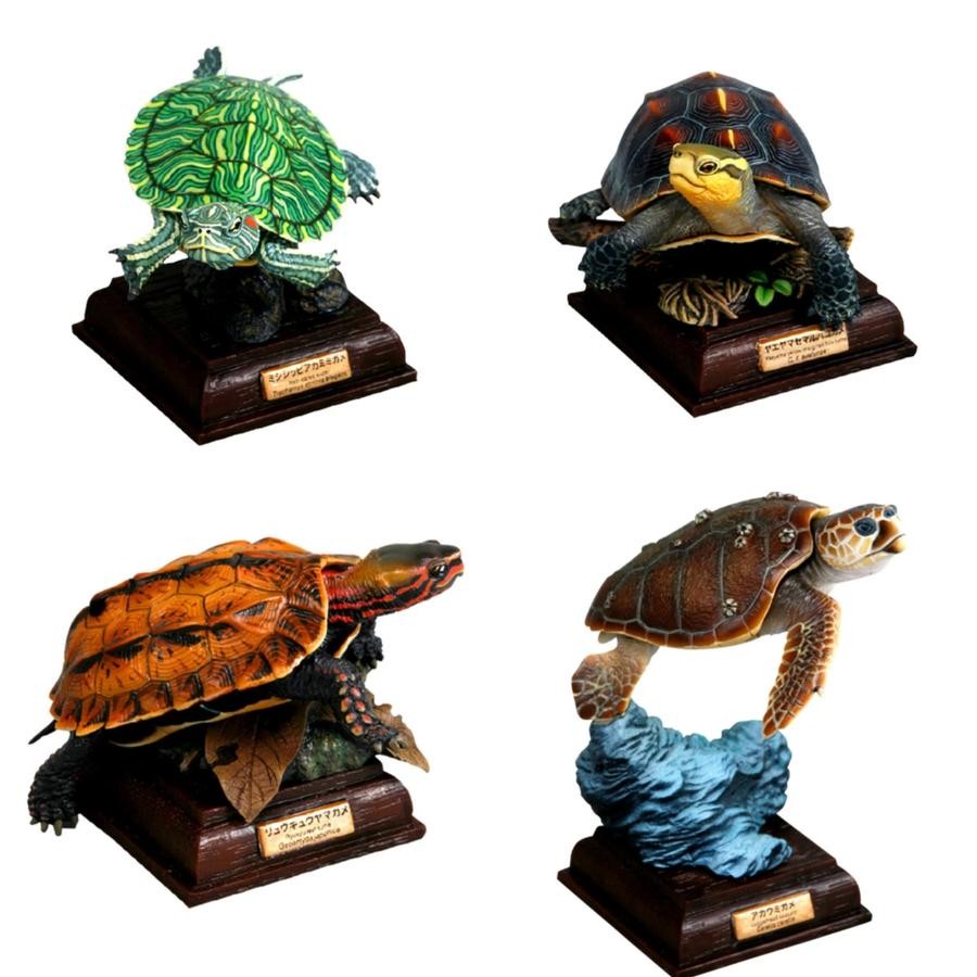 NTC Japanese turtle set lengkap isi 6 - kura brazil penyu hijau baby tukik sisik ocadia daun figure 