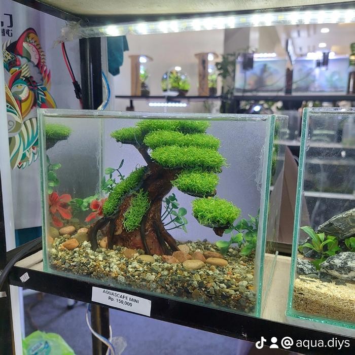 AQUASCAPE FULLSET BONUS LAMPU USB TEMA BONSAI DAN NATURAL