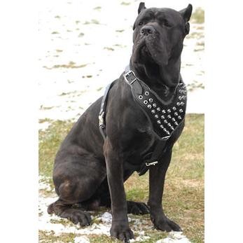 Black Spiked PU Leather Pet Dog Harness Dog Chest Belt Pet Accessory