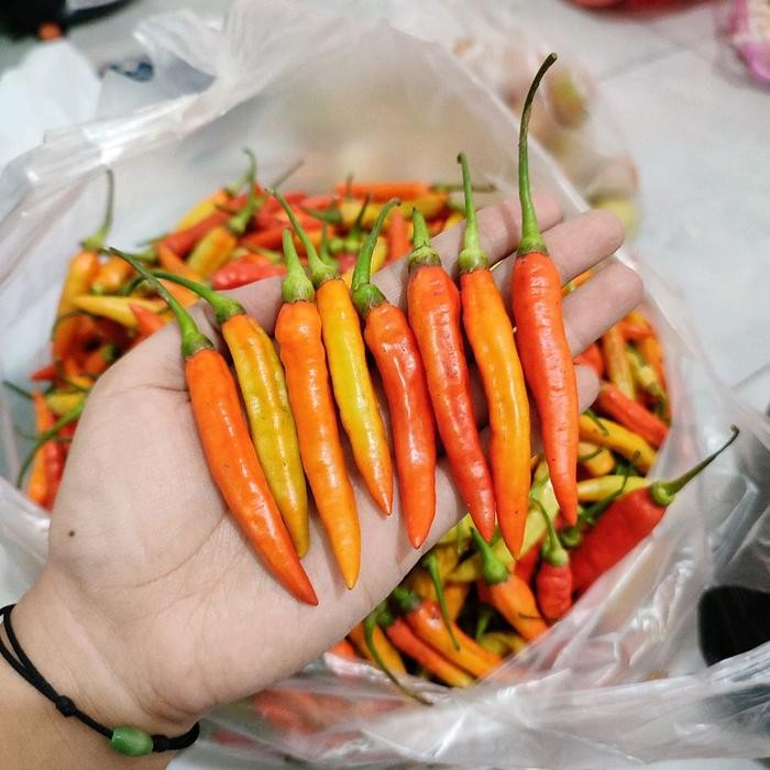 

Cabe kecil 1kg / cabe pedas asmoro / cabe pedas kwalitas bagus / cabe rawit