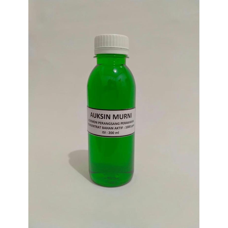 Auksin / Hormon Tanaman