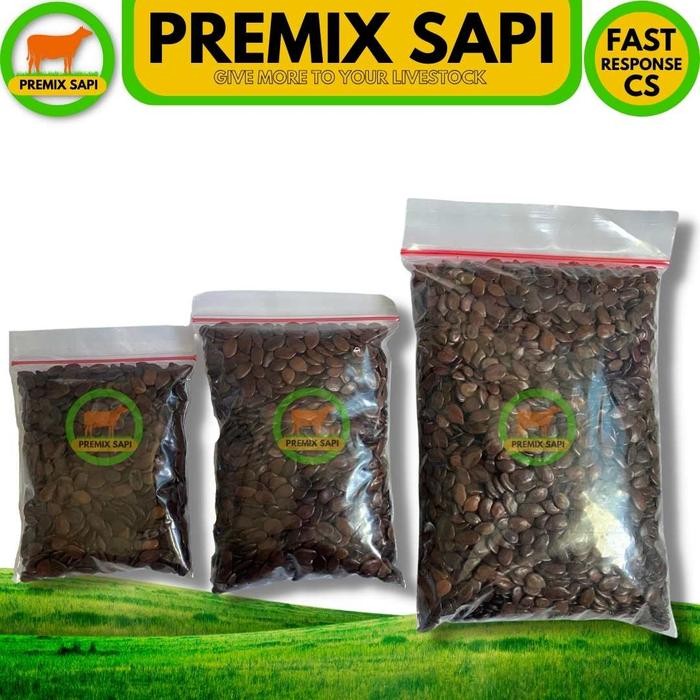 BENIH LAMTORO TARAMBA SUPER Bibit Hijauan Pakan Ternak Berkualitas