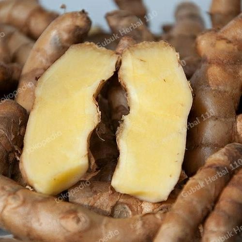 

New Kunyit Putih Segar Temu putih