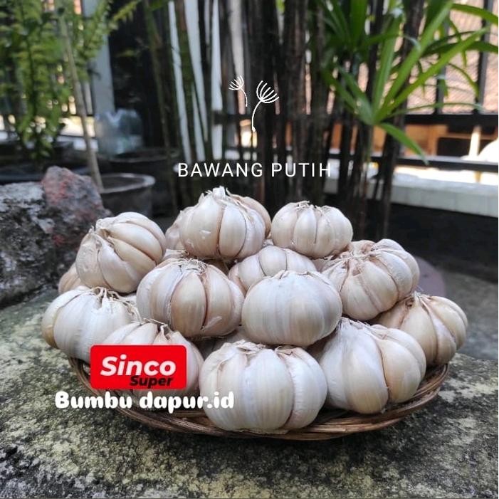 

SIAPKIRIM Bumbu dapur Bawang Putih Sinco super berat 1 kg READY STOCK