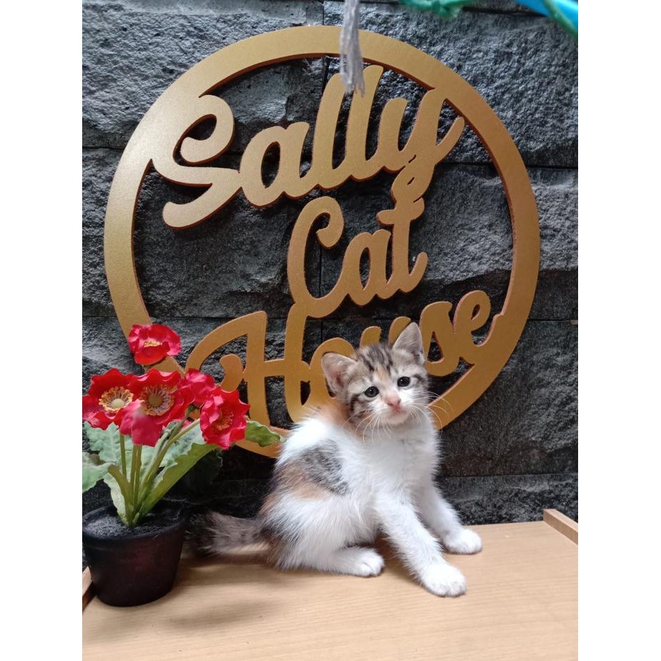 Backdrop Nama Huruf Kayu 30-60 cm Frame Bingkai Lingkaran TANPA PO