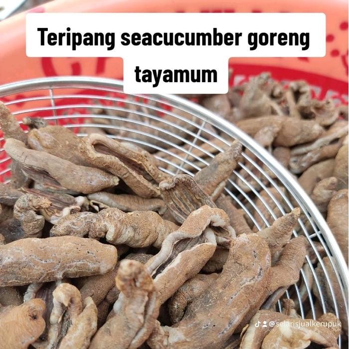 

kerupuk teripang goreng tayamum/pasir 200gram