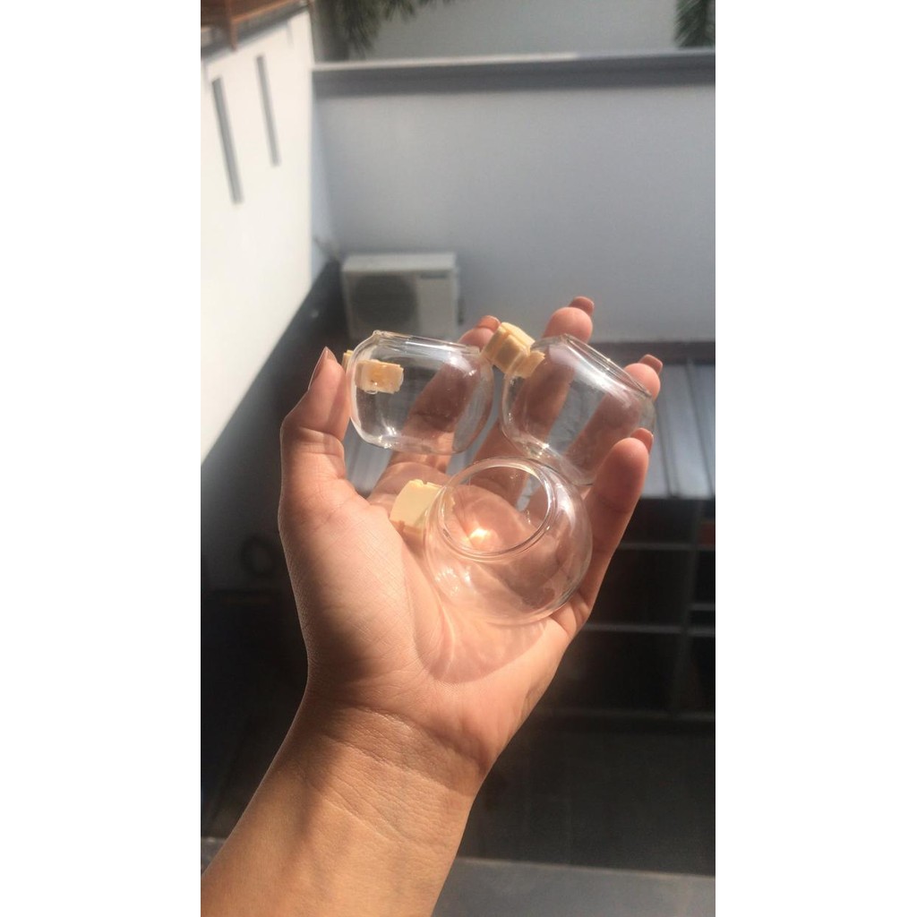 Cepuk branjangan cungkok transparan