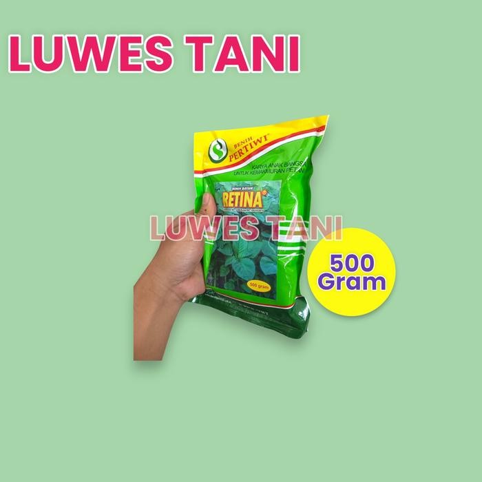 Benih Bayam Retina Pertiwi Besar (500 Gram) Bayam Cabut Dan Potong