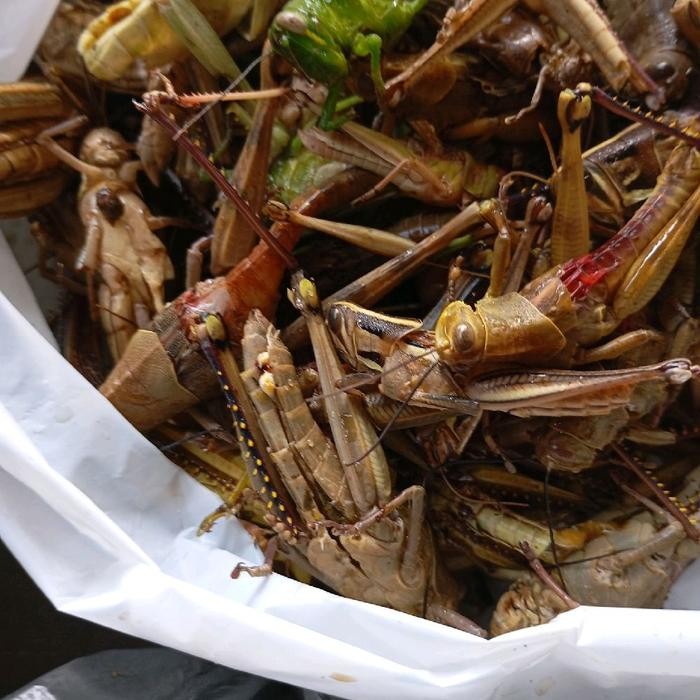 

Camilan walang goreng jenis walang kayu isi 80gr bersih