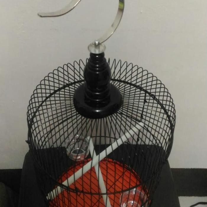 Sangkar pleci sangkar burung kecil sangkar bulat sangkar besi