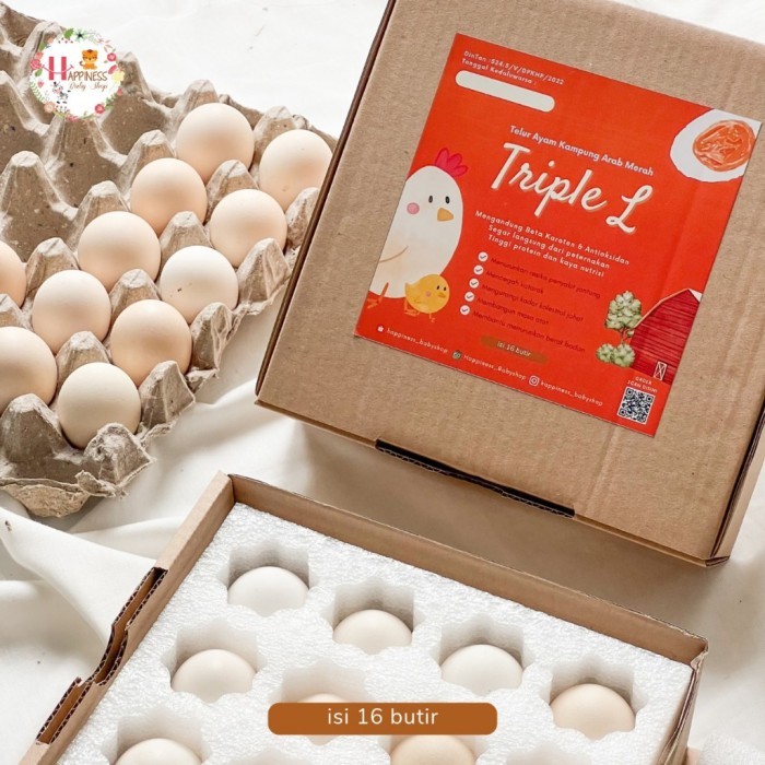 

(Expert) (PACKING AMAN) TRIPLE L TELUR / TELOR AYAM KAMPUNG ARAB FRESH ISI 16 BUTIR