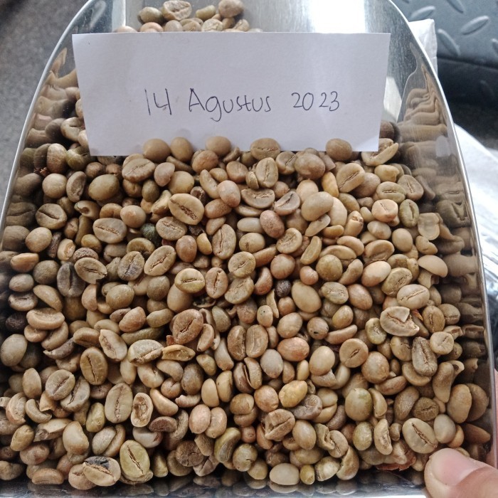 

(Expert) Green Beans Robusta Malang - Gunung Kawi - 1000 gr - Asalan