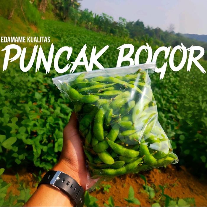 

New kacang edamame kedelai jepang fresh premium 1kg Cemilan