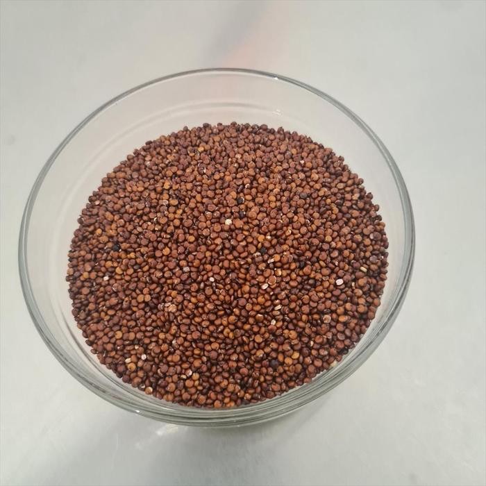 

Red Quinoa 500 G ( Quinoa Merah )