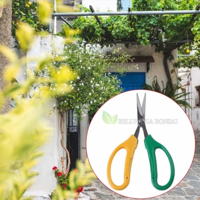 

Gunting Prunning Daun Lancip Melengkung Panjang 16 Cm