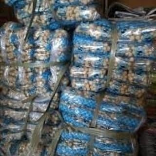 

(Expert) Kacang Atom Putri Panda isi 40pc/bal