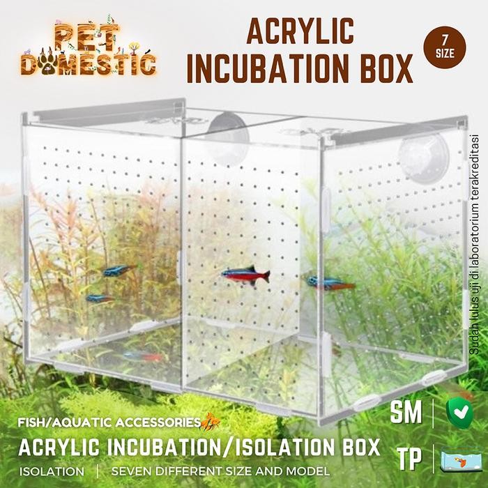 ISOLATION BOX / ACRYLIC INCUBATION BOX / AKRILIK KARANTINA IKAN