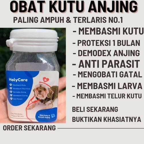 Obat Kutu Demodex Gatal Anjing Paling Ampuh Holycare