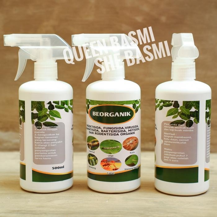 Pembasmi hama tanaman ORGANIK, ulat, kutu putih, hama daun, semut,