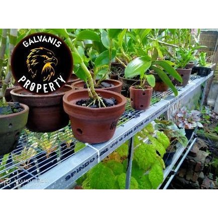 RAM PAGAR GALVANIS JARAK JERUJI 1 CM P120 X 50 CM / RAM KANDANG BURUNG