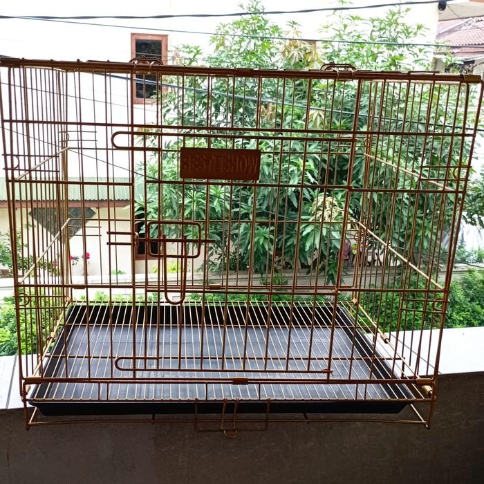 BEST IN SHOW KANDANG LIPAT P C 02