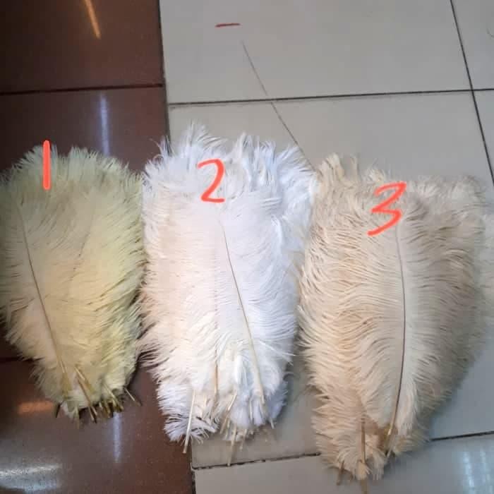 

Bulu kasuari/ostrich uk 26-30 cm