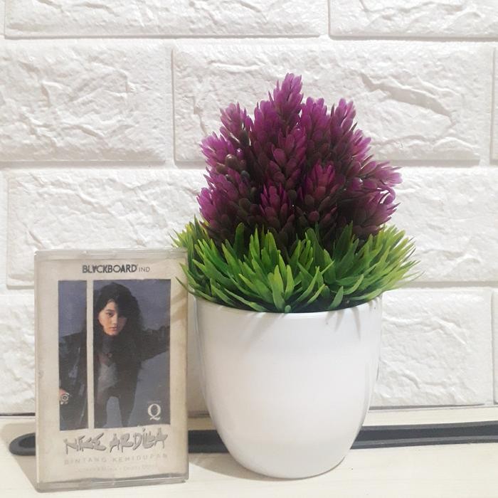 Kaset Pita Nike Ardilla Bintang Kehidupan Pasti Diskon