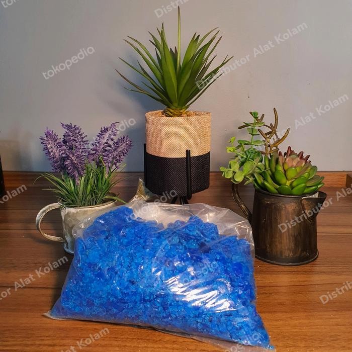 Trussi Anti Lumut Kolam Renang