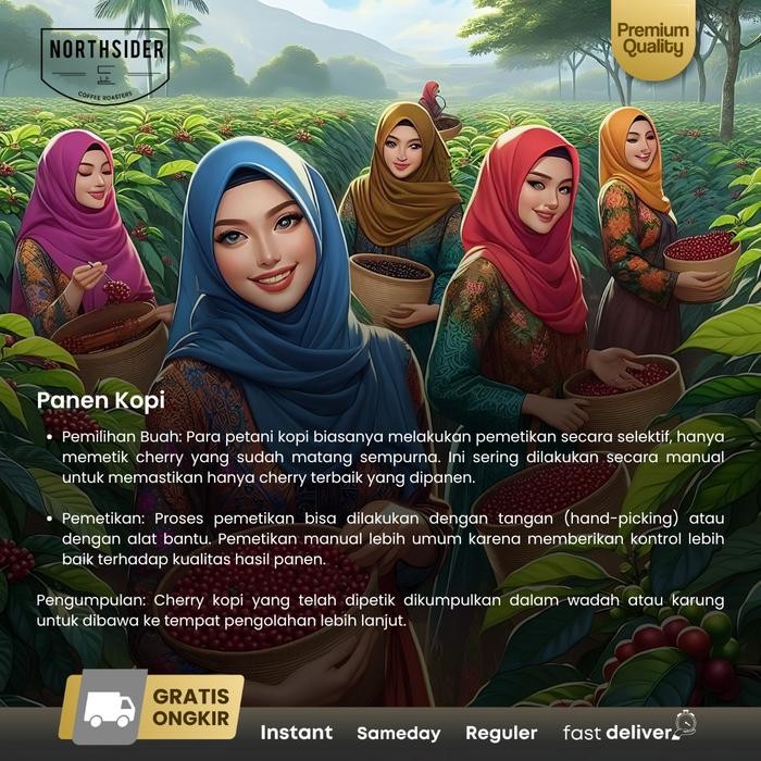 

Green Bean Kopi Arabika Kerinci Sei-Penuh Natural Coffee - Biji Kopi Mentah