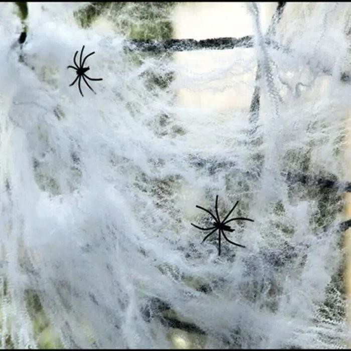 

8SXE Sarang Laba Laba